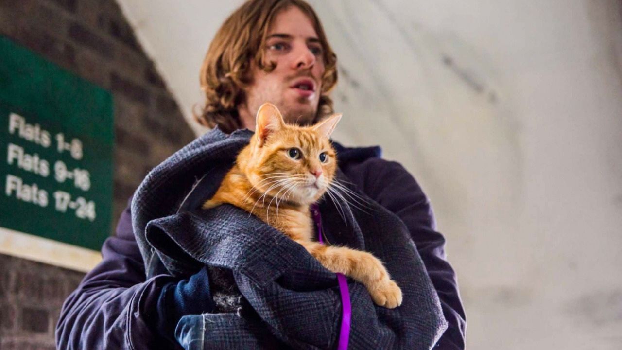 A Spasso Con Bob Bob The Cat