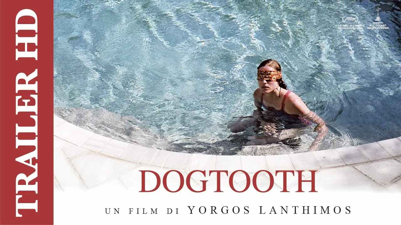 Trailer Dogtooth