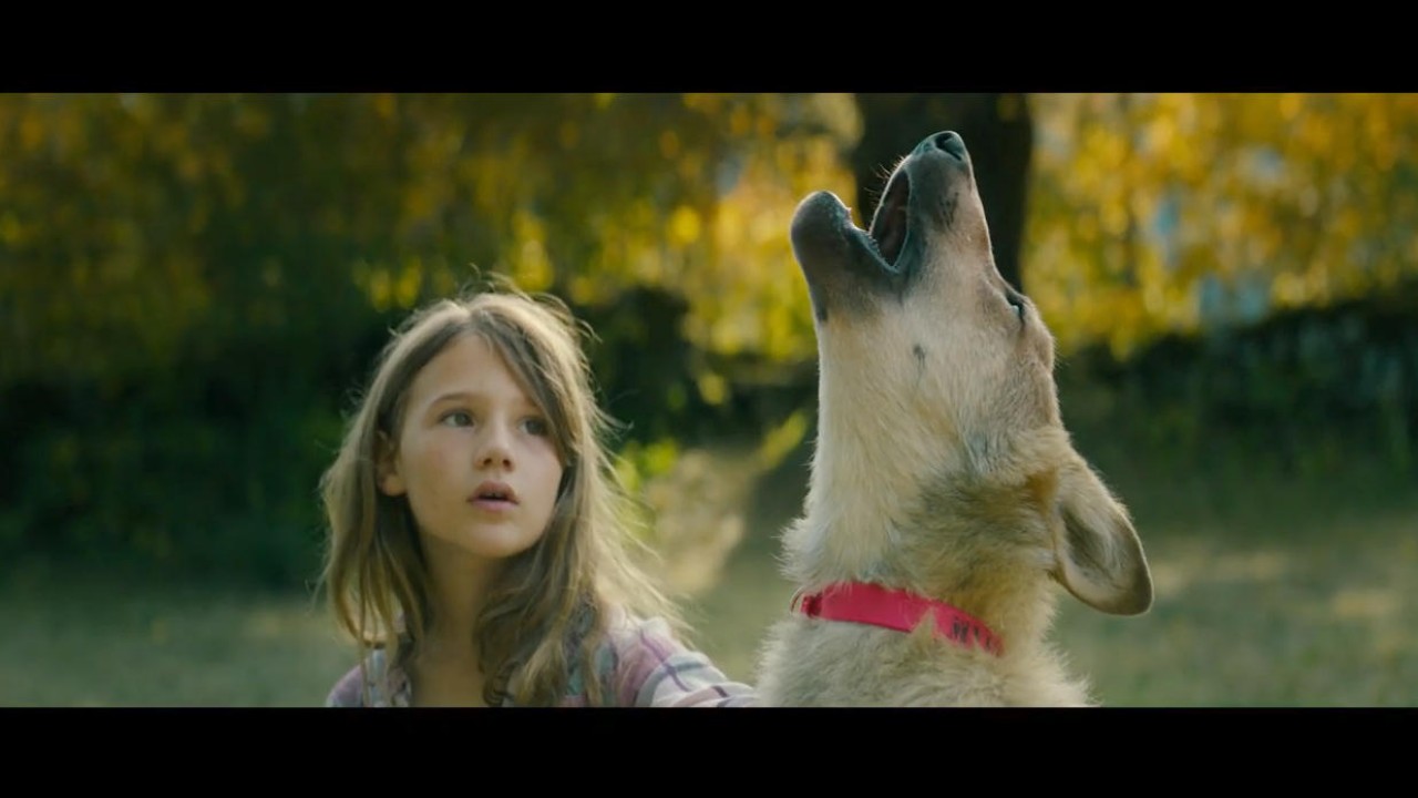 Vicky e il suo cucciolo, Il Trailer Italiano del Film - HD - Film (2021)