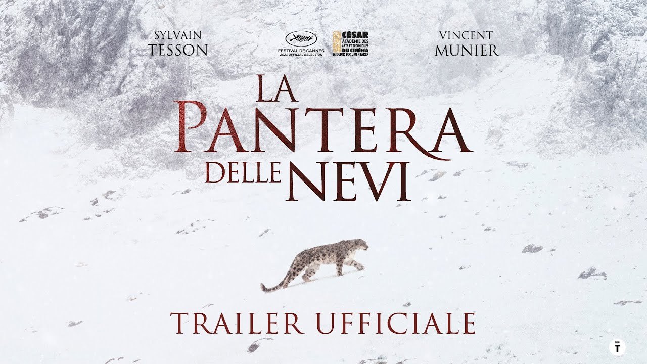 La pantera delle nevi, Il Trailer Ufficiale del Film - HD - Film (2021)