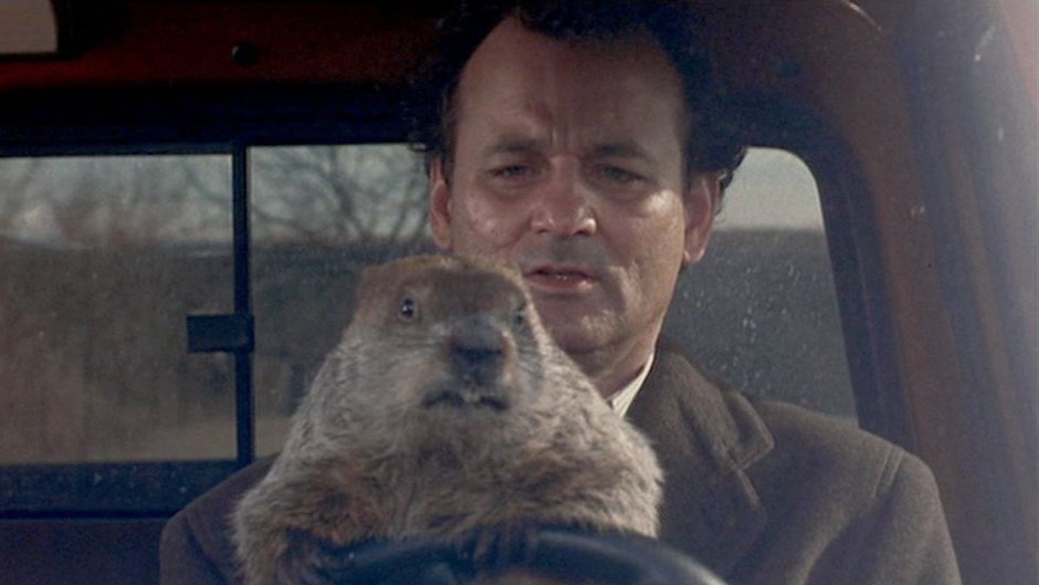 Ricomincio da capo: buon Giorno della Marmotta a tutti! Origini e curiosità sul cult movie e sulla tradizione