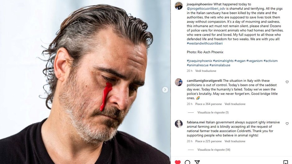 Joaquin Phoenix versa una lacrima di sangue per la strage dei maiali del rifugio Cuori Liberi