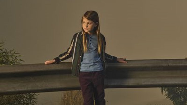 Ten Days in the Valley Serie TV (2017)