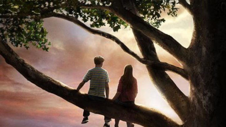 Il Primo Amore non si scorda mai Film (2010)