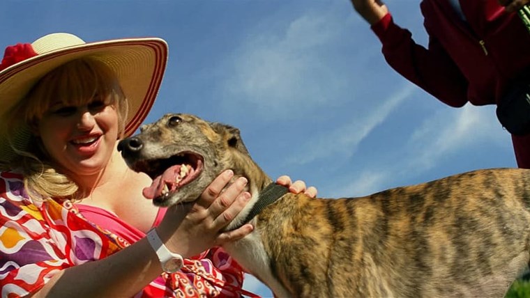 Pain & gain - muscoli e denaro