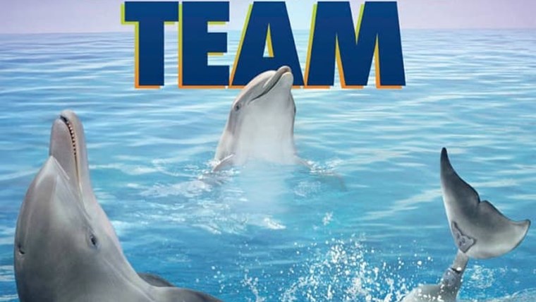 L Incredibile Storia Di Winter Il Delfino 2