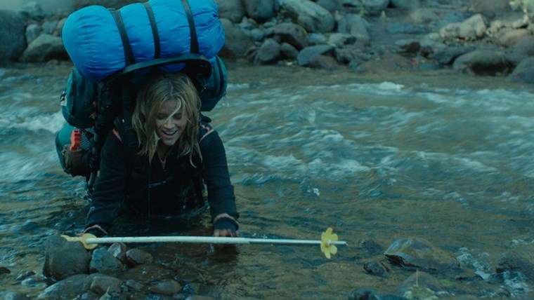 Wild - Una Storia Selvaggia Di Avventura E Rinascita