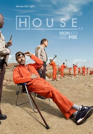 Dr. House - Stagione 8