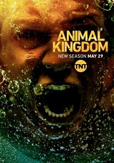 Animal Kingdom stagione 3