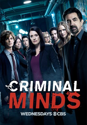 Criminal Minds - Stagione 13