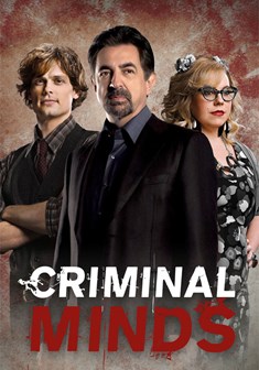 Criminal Minds stagione 14