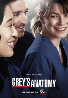 Grey's Anatomy stagione 10