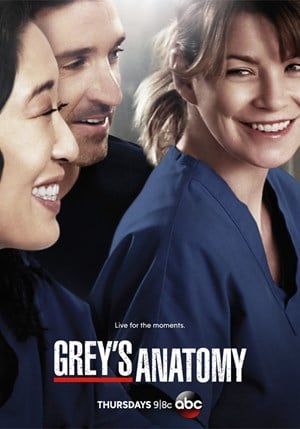 Grey's Anatomy - Stagione 10