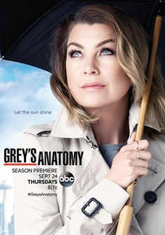 Grey's Anatomy stagione 12