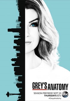 Grey's Anatomy stagione 13