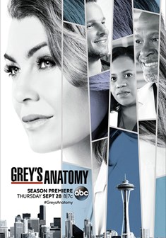 Grey's Anatomy stagione 14