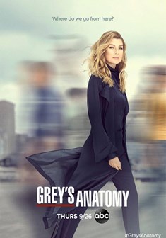 Grey's Anatomy stagione 16