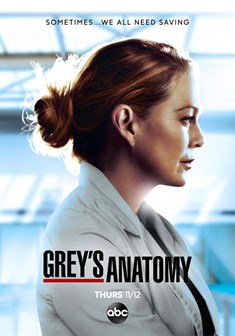 Grey's Anatomy stagione 17