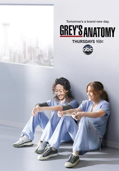 Grey's Anatomy stagione 8