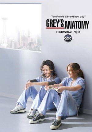 Grey's Anatomy - Stagione 8