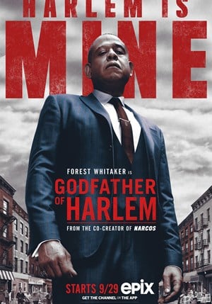 Locandina Godfather of Harlem