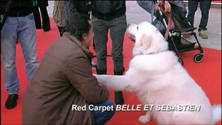 Belle e Sebastien Il red carpet del film al Festival di Roma 2013