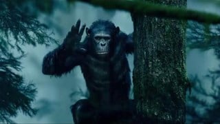 Apes Revolution - Il pianeta delle scimmie: Trailer italiano finale - HD