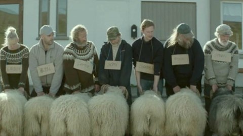 Rams - Storia di due fratelli e otto pecore Il trailer del film, versione originale