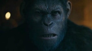 The War - Il Pianeta delle Scimmie: Il primo trailer italiano - HD