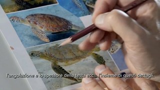 La tartaruga rossa Featurette - M. Dudok De Wit spiega come disegnare la Tartaruga
