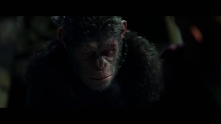 The War - Il Pianeta delle Scimmie: Clip: Sono qui per te - HD