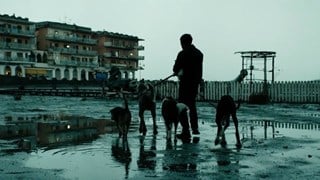 Dogman Clip del film: Marcello esce con i cani - HD