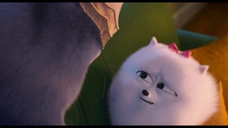 Pets 2 - Vita da animali Clip Italiana Ufficiale del Film: Gidget nota qualcosa di strano in Chloe - HD