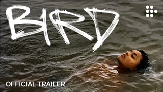 Il Trailer Ufficiale del Film di Andrea Arnold con Barry Keoghan - HD