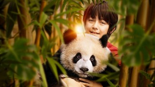 Il Primo Trailer Italiano del Film - HD