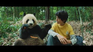 Il Trailer Ufficiale in Italiano del Film - HD