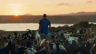 Il Trailer Ufficiale Italiano del Film - HD