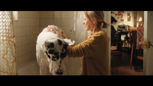 L'Amico Fedele: Il Trailer Ufficiale in Italiano del Film con Bill Murray e Naomi Watts - HD