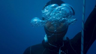 Il Trailer Ufficiale del Film - HD