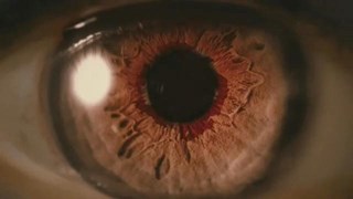 The Twilight Saga: Breaking Dawn - Parte 2: Spot italiano - Generation